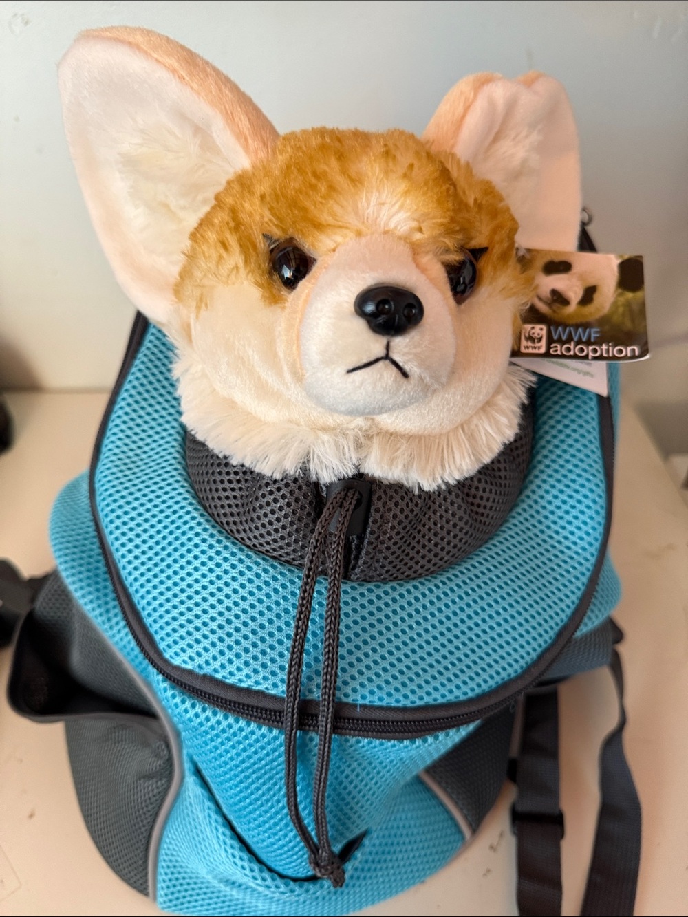 Dog backpack, turquoise and black, stuffed animal not included